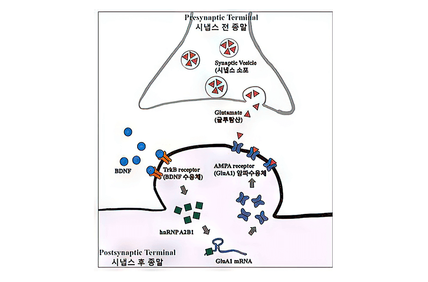 research_image