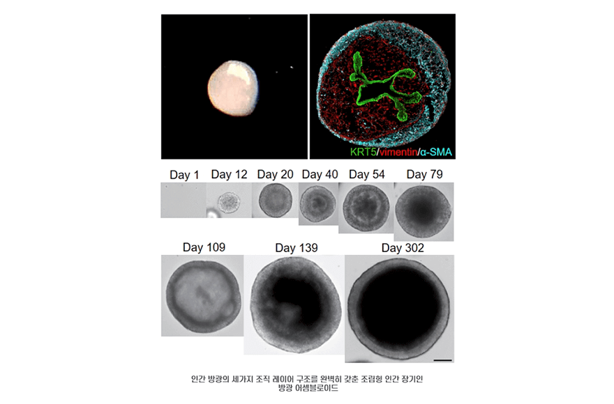 research_image