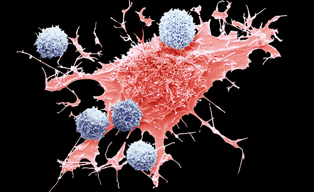 Immunology image