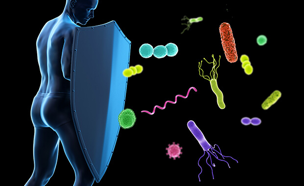 Immunology image